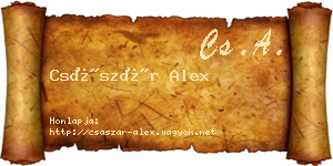 Császár Alex névjegykártya